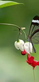 Delicate butterfly perched on a vibrant flower against a green backdrop.