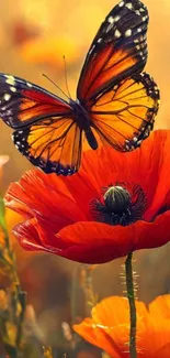 Vibrant butterfly on a bright orange flower in natural setting.