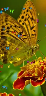 Yellow butterfly on vibrant marigold flower against green background.