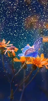 Butterfly perched on orange flowers against a deep blue background.