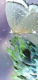 Delicate butterfly on vibrant thistle against a dreamy background.