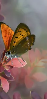 Vibrant butterfly resting on colorful leaves in artistic wallpaper.