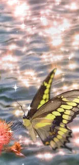 Butterfly with yellow wings on sparkling water background.