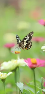 Colorful butterfly on a vibrant wildflower, set against a lush green background.