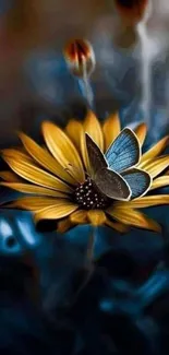 Blue butterfly on vibrant yellow flower against dark background.