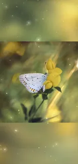 A delicate butterfly on a yellow flower in a tranquil nature scene.