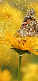 Butterfly on a bright yellow flower with artistic design.