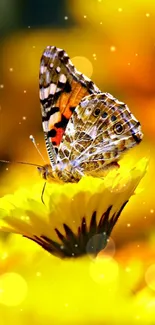 Butterfly rests on bright yellow flowers in vibrant wallpaper.