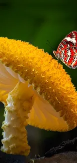 Butterfly perched on a bright yellow mushroom in a lush green setting.