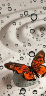 Orange butterfly on Zen garden sand with water droplets.