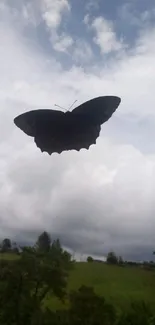 Butterfly silhouette against cloudy sky and green landscape.