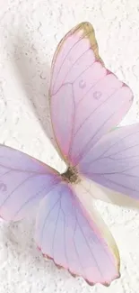 Pastel butterfly wallpaper for mobile.