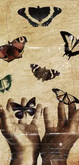 Hands releasing butterflies on vintage background.