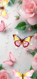 Butterflies and pink roses wallpaper with dewdrops.