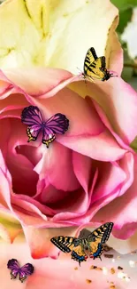 Pink rose with butterflies mobile wallpaper.