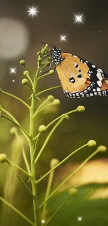 Butterfly on green foliage, peaceful nature scene.