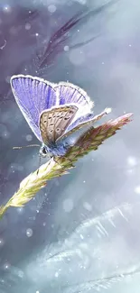 Purple butterfly on grass wallpaper, serene nature theme.