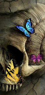 Butterflies rest on a detailed skull, artistic design.