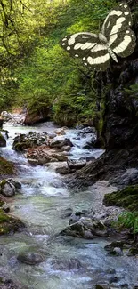 Forest stream with butterfly in lush greenery.