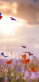 Colorful butterflies flying over a serene sunset in nature.