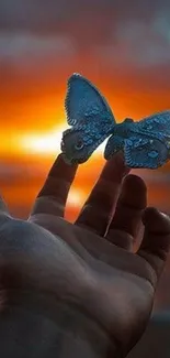 Hand holding a butterfly as the sun sets in the background.