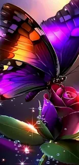 Butterfly Wing Pollinator Live Wallpaper