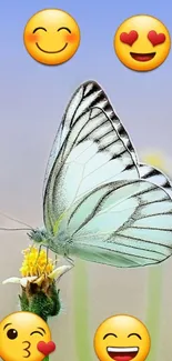 Butterfly on flower with smiley emojis on blue background.