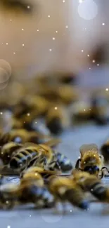 Close-up of buzzing bees swarming energetically.