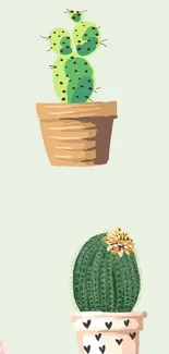 Mobile wallpaper with a cute cactus pattern in pots.