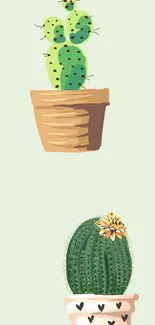 Illustrated cactus plants in pots on a light green background.