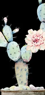 Watercolor cactus art wallpaper with pink flower on black background.