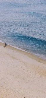 Serene beach scene with sandy shore and calm ocean waves.