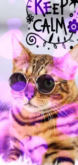 Cat wearing sunglasses with a keep calm message in purple tones.