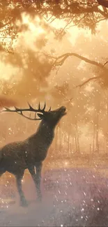 Majestic deer in a golden forest, under a softly falling mist.