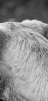 Close-up of a dog's fur in monochrome for mobile wallpaper.