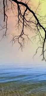 Serene landscape wallpaper with branch, colorful sky, and calm waters.