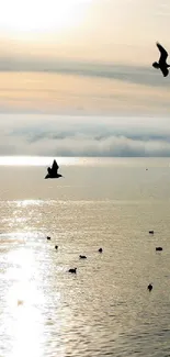 Birds flying over calm ocean at sunset.