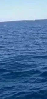 Serene blue ocean waves under a clear sky, creating a calming background.