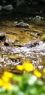 Calm stream with rocks and vibrant yellow flowers in a lush green setting.