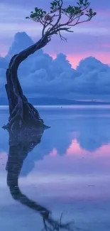 Lone tree reflected in water at sunset with purple sky.