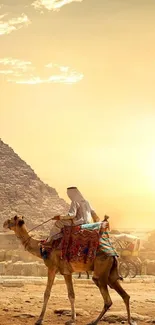 Camel walk by Giza pyramid at sunset with golden sky.