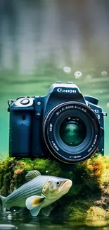 Camera on mossy rock with fish underwater.