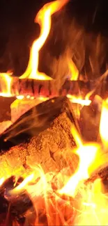 Calm evening campfire with dark blue sky and glowing flames.