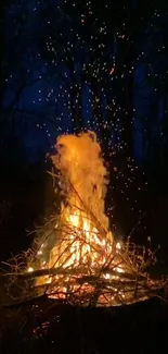 A campfire burning under a starry dark blue night sky.