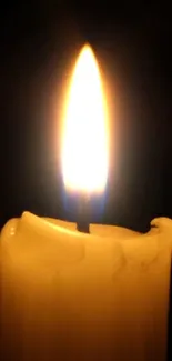 Warm glow of a candle flame in the dark.