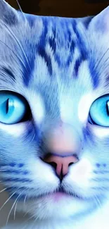 Blue-eyed cat mobile wallpaper with cool aesthetic.