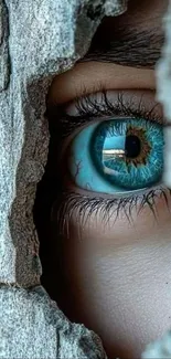 Close-up of a blue eye peering through a stone wall.