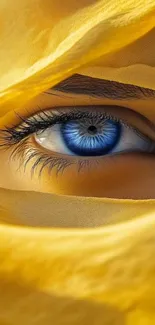 Blue eye with a yellow veil closeup wallpaper.