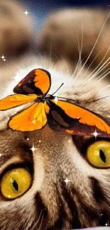 Curious cat with yellow eyes and an orange butterfly resting on its head.