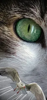 Close-up of a cat's green eye with a seagull in flight.